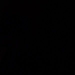 Meet your Posher, Tamara